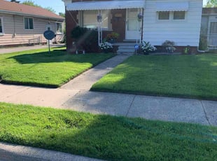 Donald C.'s lawn maintenance service result