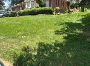 Kate M.'s grass maintenance service result