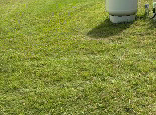Monica M.'s turf maintenance service result