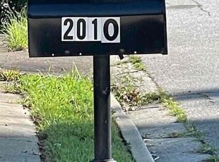 Nick I.'s lawn maintenance service result