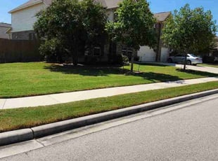 Maxine J.'s lawn maintenance service result