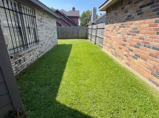 Erin M.'s turf care service result