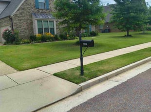 Jean M.'s grass maintenance service result