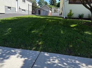 Devin F.'s lawn care services service result