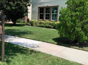 Eric C.'s lawn service service result