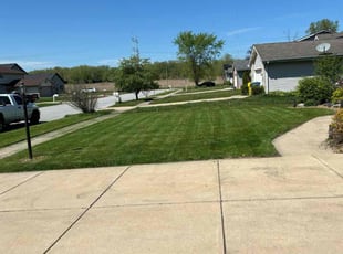 Vicky C.'s grass cutting service result