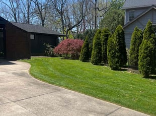 Douglas H.'s grass maintenance service result