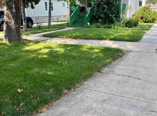 Kenneth J.'s lawn care services service result
