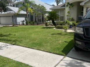 Linda E.'s grass maintenance service result