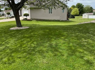 Bobby D.'s lawn care service result