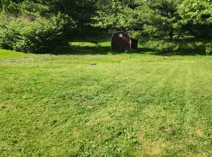 Tracy C.'s lawn care service result