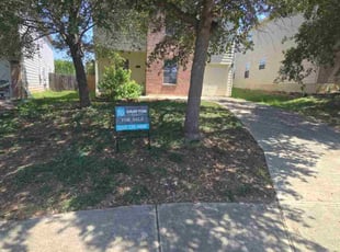 Bruce C.'s grass maintenance service result