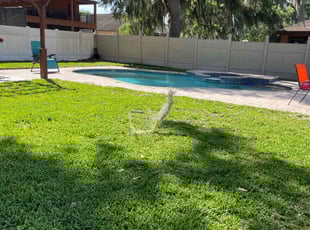 Aaron M.'s grass maintenance service result