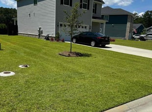 Sungeun K.'s grass maintenance service result