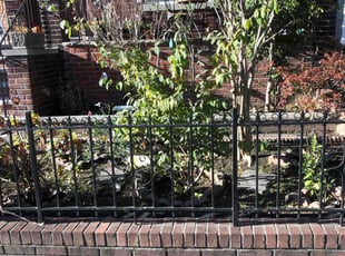 Joel M.'s Leaf Removal service result