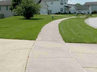 Susan B.'s grass maintenance service result
