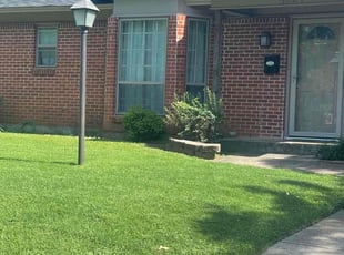 Daniel A.'s turf care service result