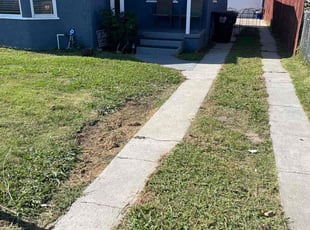 Jesse V.'s lawn care services service result