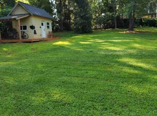 Joey M.'s yard maintenance service result