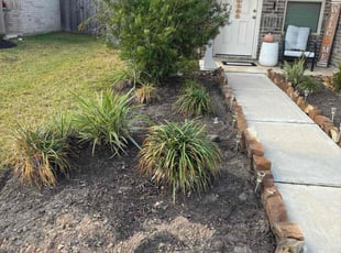 Jacqui C.'s grass maintenance service result