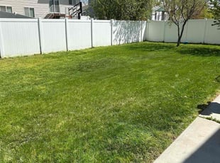 Nelia M.'s yard work service result