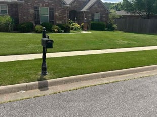 Morgan M.'s turf maintenance service result