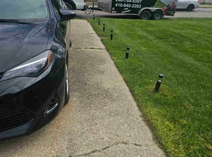 Marie D.'s lawn maintenance service result