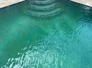 Sarah G.'s Pool Cleaning service result