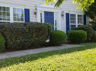 James Z.'s Bush Trimming service result