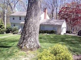 Keri L.'s turf maintenance service result
