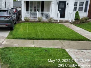 Bernadette S.'s lawn care service result