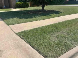 Robb H.'s turf maintenance service result