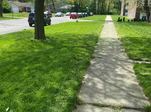Patrick C.'s lawn maintenance service result