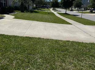 Mai D.'s lawn service service result