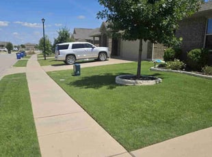 Andrea C.'s yard work service result