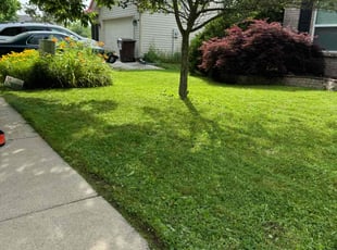 Bryan M.'s grass maintenance service result