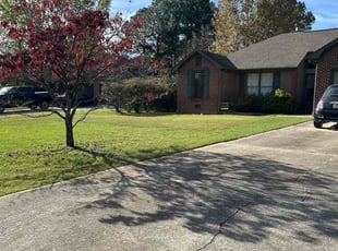 Antonia R.'s turf care service result