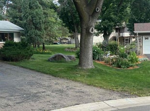 Jim W.'s grass maintenance service result