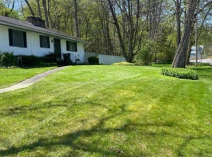 Janesta H.'s lawn maintenance service result