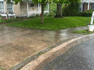 Cindi K.'s grass cutting service result