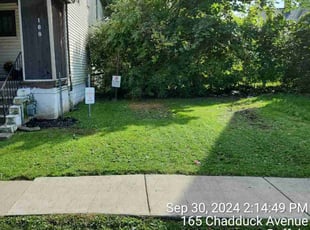 Damon C.'s lawn service service result