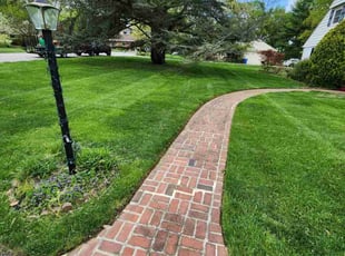Dan A.'s Long Grass Cleanup service result