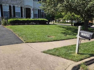 Justin S.'s turf care service result