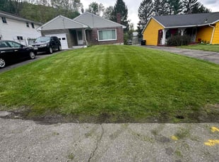 Regina D.'s lawn service service result