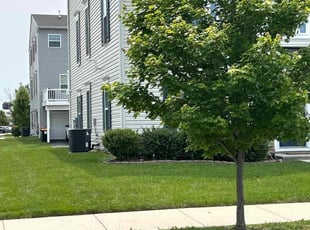 Nancy S.'s lawn care service result