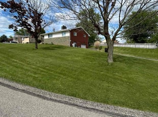 Janier S.'s turf care service result