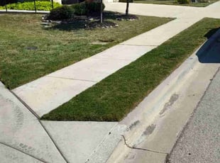 Richard V.'s turf care service result