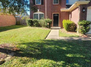 Steve R.'s Long Grass Cleanup service result