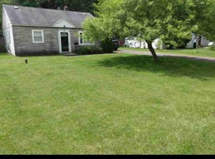 Diane G.'s grass maintenance service result