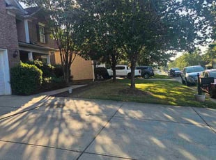 Dave W.'s lawn service service result